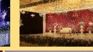 Reception Floral Wall Stage - Punjab Bagpiper Band India